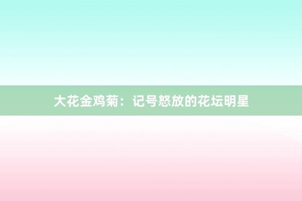 大花金鸡菊：记号怒放的花坛明星