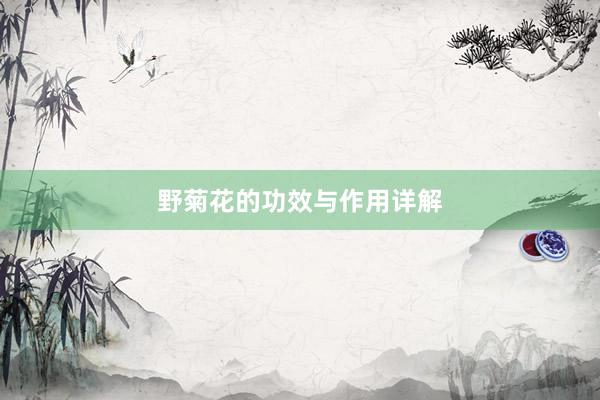 野菊花的功效与作用详解