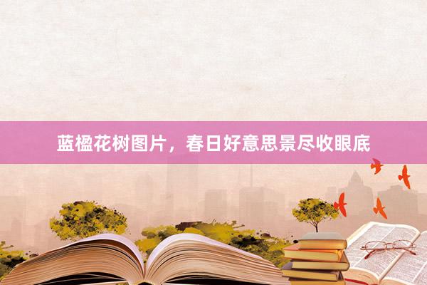 蓝楹花树图片，春日好意思景尽收眼底